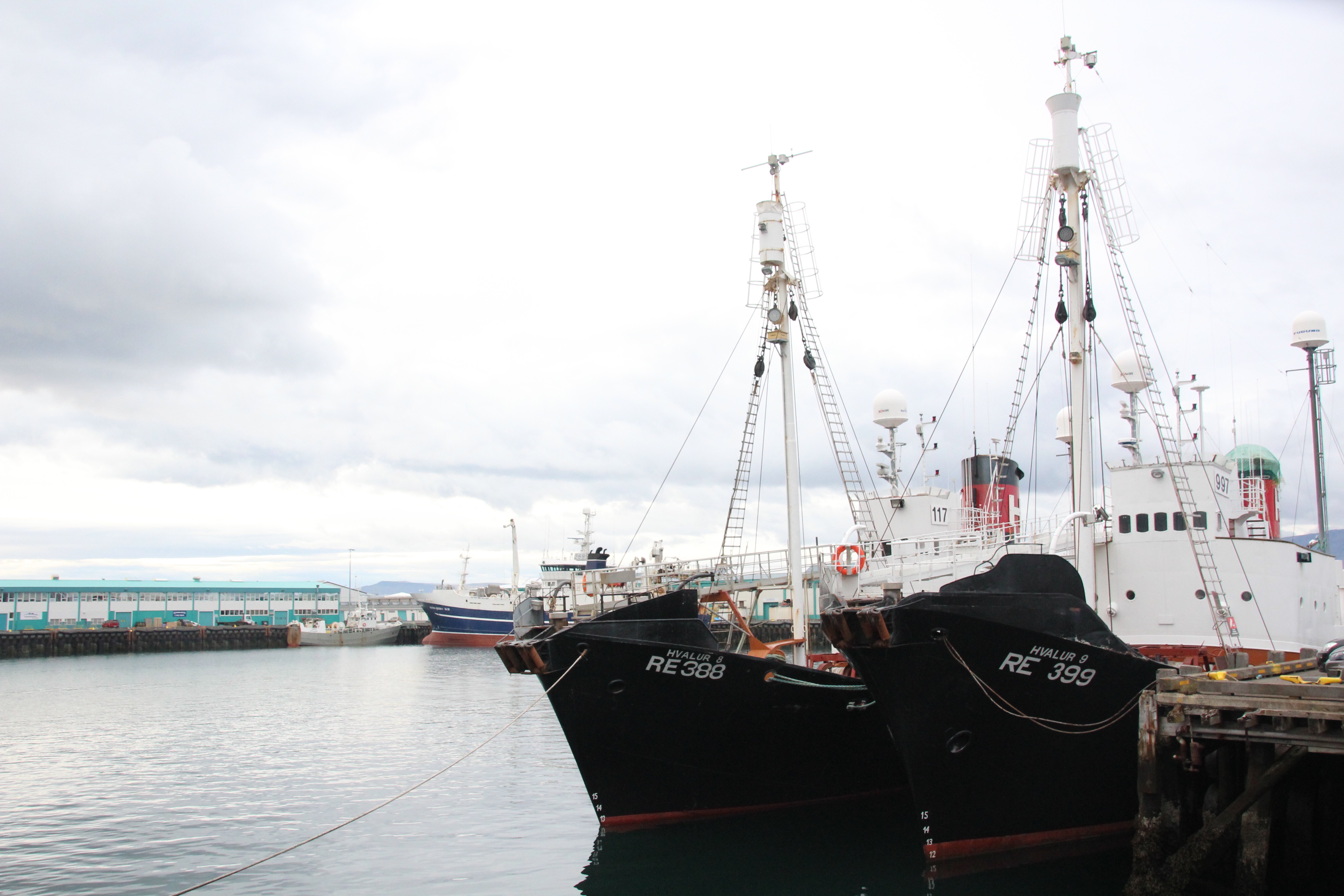 ships docked Reykjavik Marina