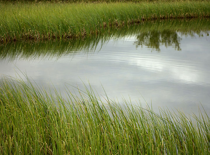 Green hotels