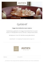686_aurora-header-hringbekkur.jpg