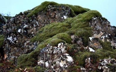A typical Elf stone